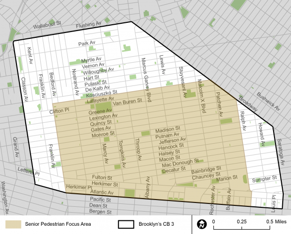 A diagram highlighting the &quot;Bed Stuy Senior Pedestrian Focus Area&quot; in yellow. It covers an area slightly smaller than the Community Board 3 outline. 