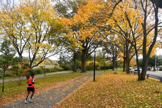 Man jogging in park with fall foliage